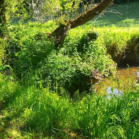 Le Domaine Du Pont Canon Plourivo Esterno foto