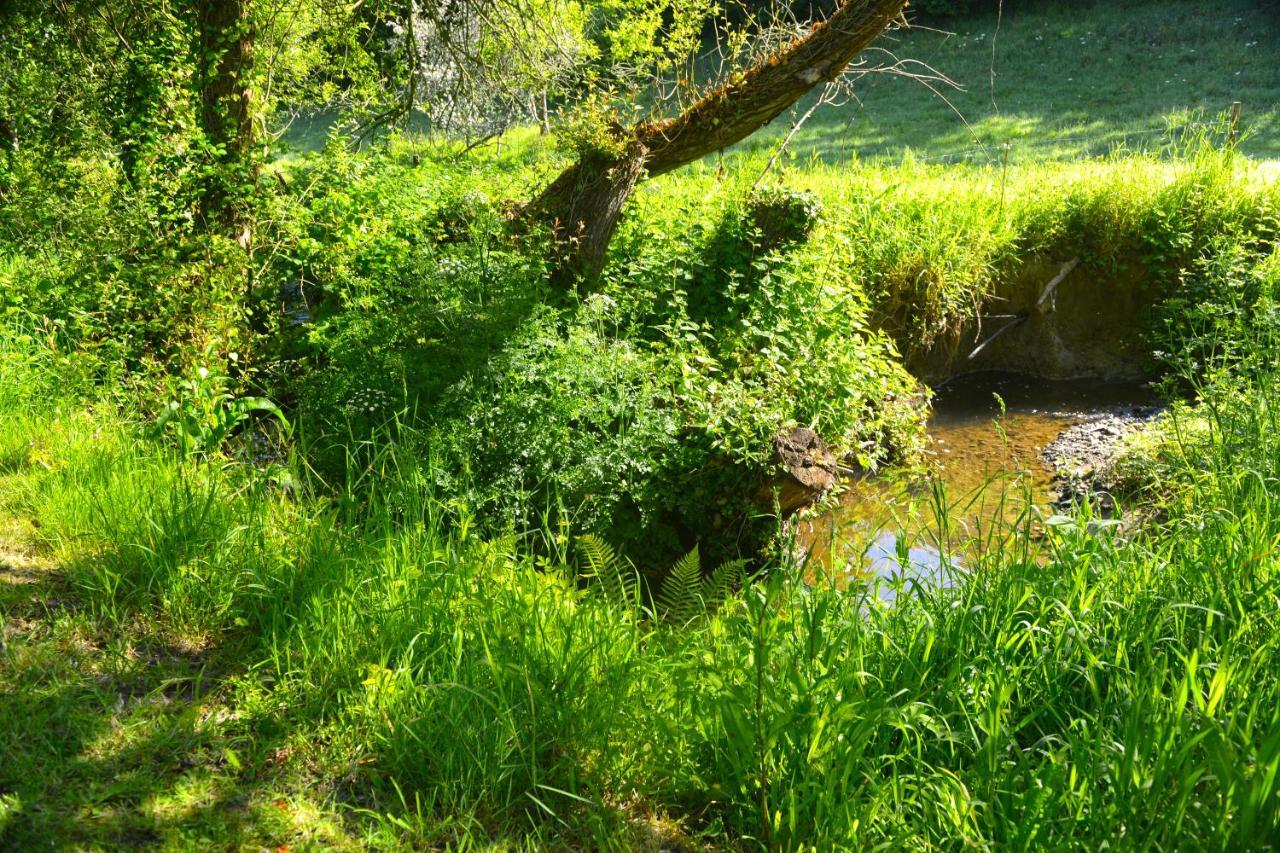 Le Domaine Du Pont Canon Plourivo Esterno foto